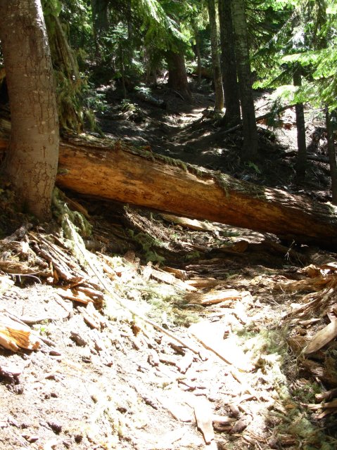 Summer '06 Sunriver II 074 